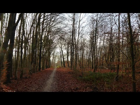 346 Echt - Slek (Limburg, NL) 14,6 km