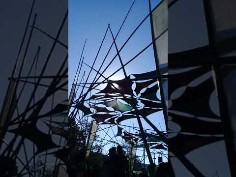 Festival Terra Azul 2018