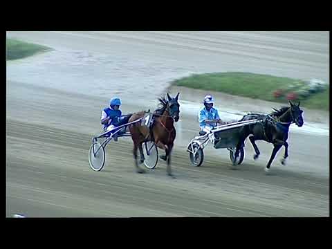 Napoli Trotto 03/09/2021 - prova di addestramento