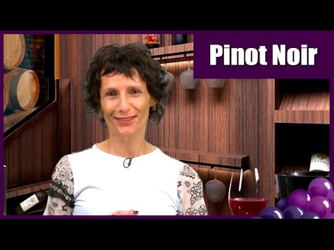 TV UVA - UVA E VINHO - PINOT NOIR