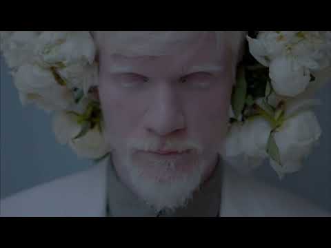 Dear God - Lawless (ft. Sydney Wayser) | Letra Traduzida LEGENDADO em PT-BR & EN