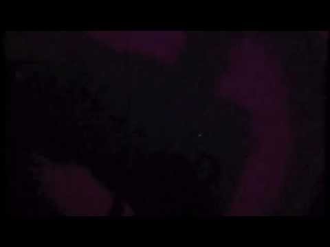 Jested - Jested - Blooms (video Kittchen)