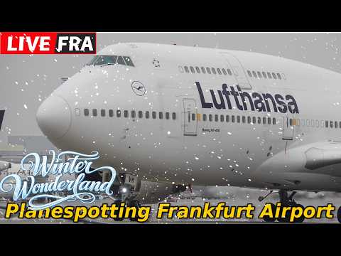 🔴Live Winter Wonderland Frankfurt Airport Deicing Action FRA🌨️