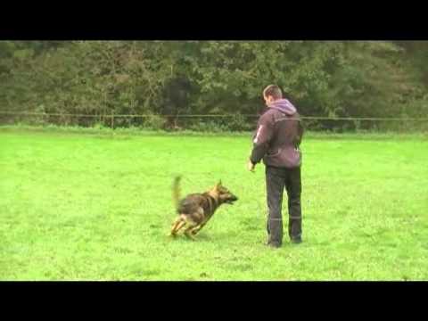 GERRY AYKMAR - 10 months