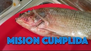 BUSCANDO UN PESCADO CON OJOS AZULES