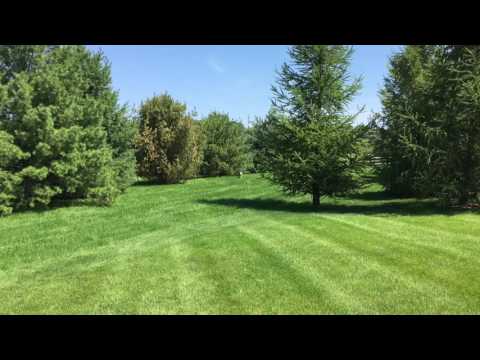 Pink Floyd - Run Like Hell