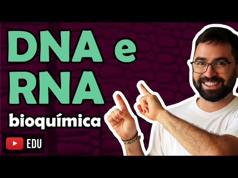 DNA and RNA (Nucleic Acids) - READ THE DESCRIPTION