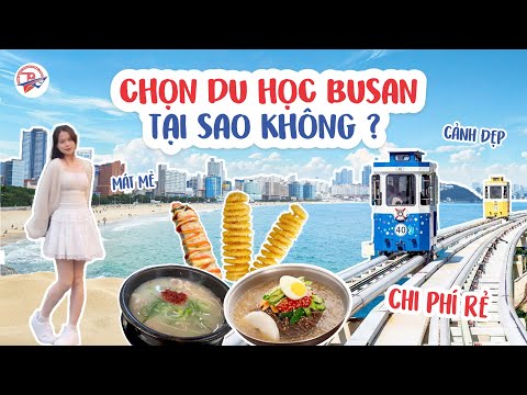 chọn busan để du học, tại sao không?
