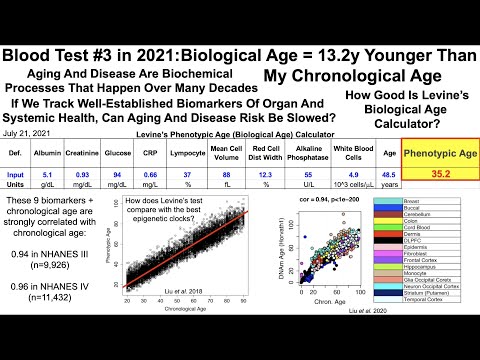 Quantifying Biological Age: Blood Test #3 in 2021