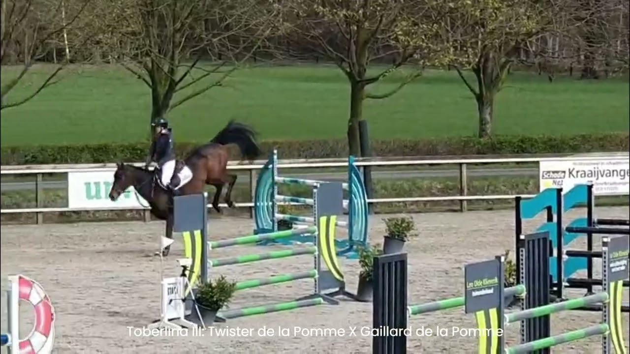 Coberlina Tivoli Z (CHAUDFONTAINE JL Z x TWISTER DE LA POMME) video 1