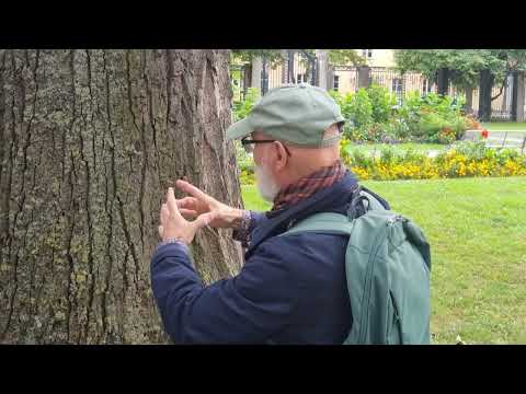 Baumtour vom 23-09-2023