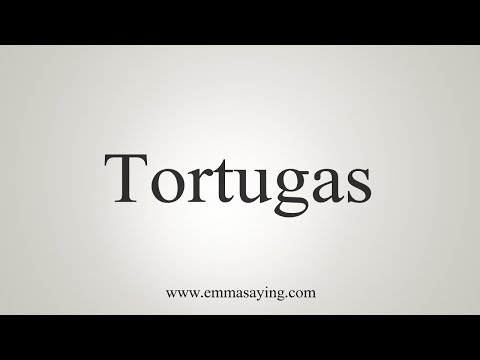 How To Say Tortugas