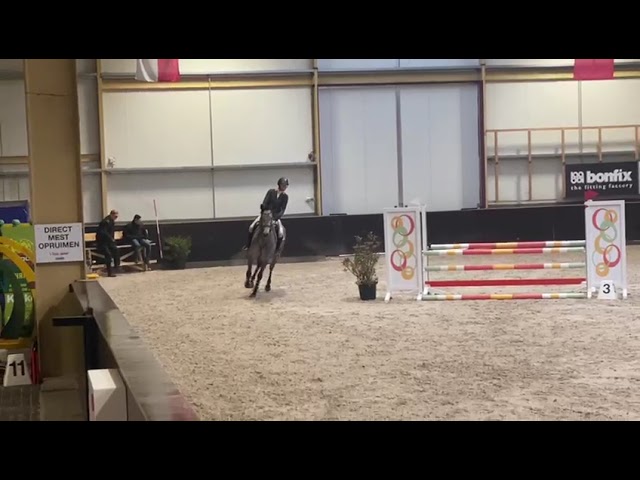 Practice rounds (around 5 times 0,80 metres) Carrie (Carrera x Waikiki, CSI 1.60m) as youngster.