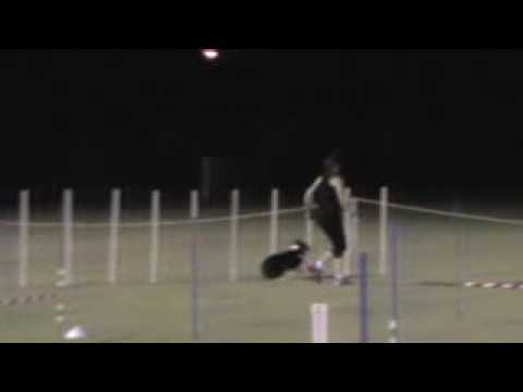 Ticket - JDO 12/12/2009