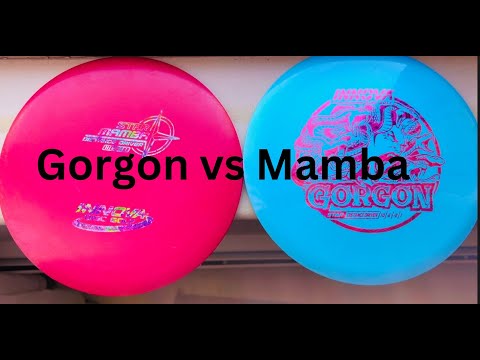 Innova Gorgon vs. Mamba: Which is Better for Low Arm-Speed ...