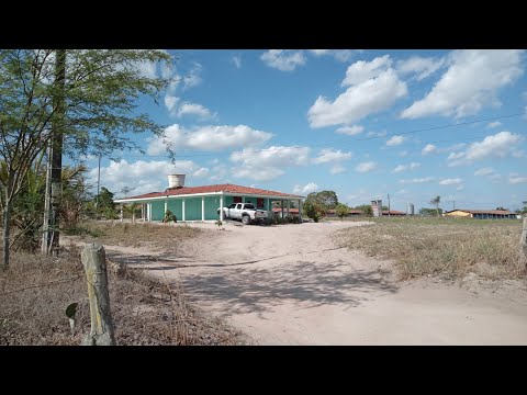 SÍTIO SALGADINHO EM LAJEDO-PE 03-11-2025 