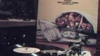 Ike Turner presents The Family Vibes - Garbage Man