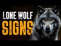 10 Obvious Signs You Re A Lone Wolf