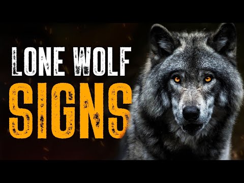 10 Obvious Signs You're a Lone Wolf