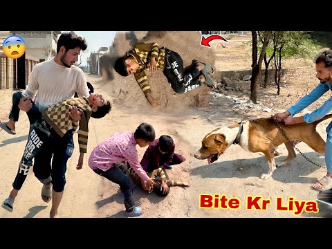 Arslan why did the bully dog ​​Badshah kill his brother 💔