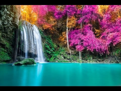 Relaxing Sleep Music, Sleep Therapy, Deep Sleep Music, Insomnia, Spa, Yoga, Zen, Study, Sleep, ☯2817