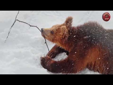 Juan Pablo Torrez feat  Amber Long - Missing (Scenic Video Edit)