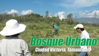 preview picture of video 'Bosque Urbano de Ciudad Victoria'