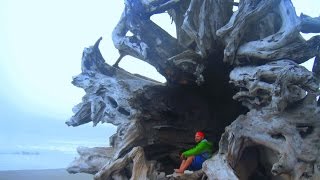 Magic La Push in Olympic Pennisula, WA