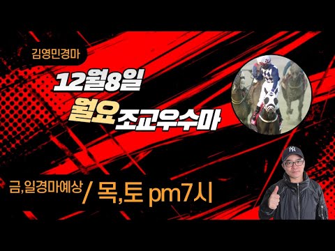 김영민경마 12월8일 부경 월요조교우수마 3두