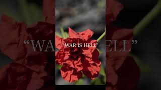 Red Flower - War take everything from us