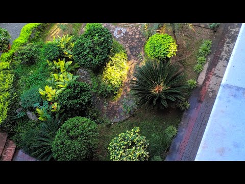 download lagu mp3 mp4 Haliment, download lagu Haliment gratis, unduh video klip Haliment