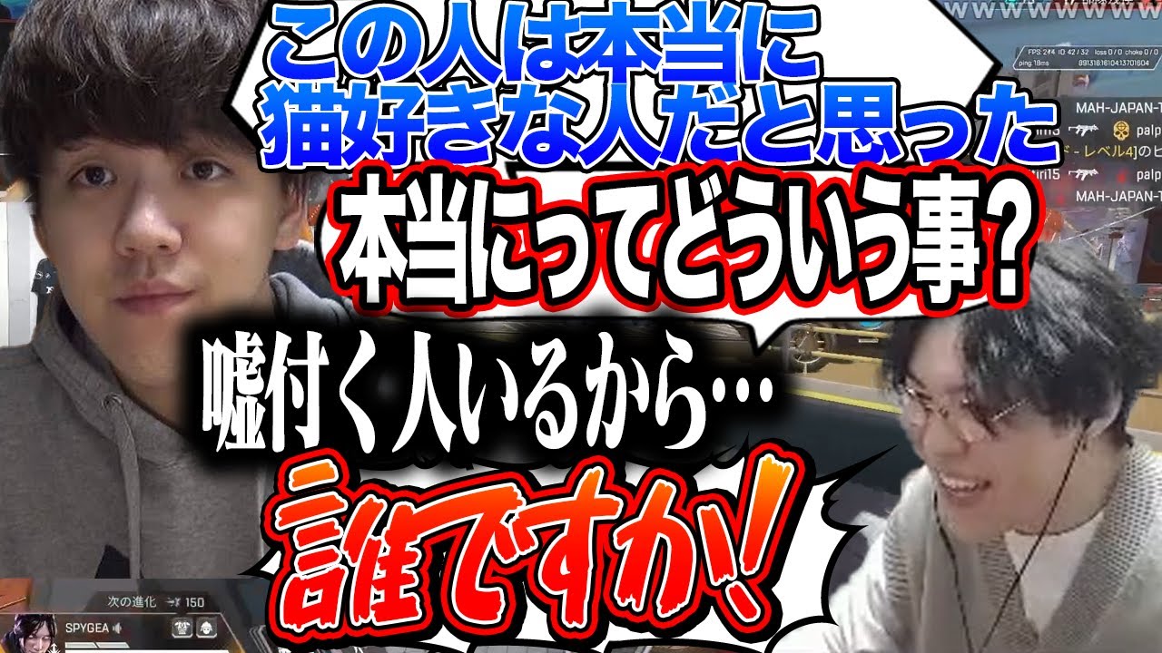 スパイギアの猫愛を語るよしなま【2023/04/07】