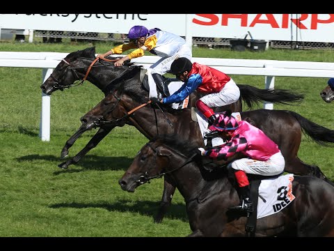 Hamburg: IDEE 153. Deutsches Derby (Gruppe 1) - Sieger: Sammarco