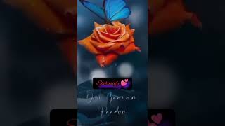 Download lagu Malayalam WhatsApp status 🫰🤗✨💫👌 mp3