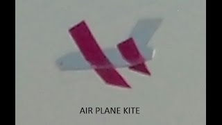 preview picture of video 'airplane kite - purple wings'