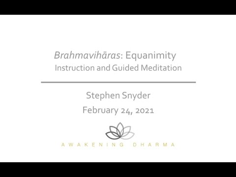 February 2021 - Brahmavihāras Meditation: Equanimity - Stephen Snyder