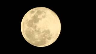 Melodia sentimental - Maria Bethânia