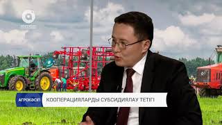 Субсидия шаруаны ширата алады ма?