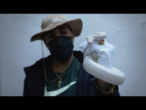 FELINO BROWN - SEGUIMOS VIVOS (Video Oficial)