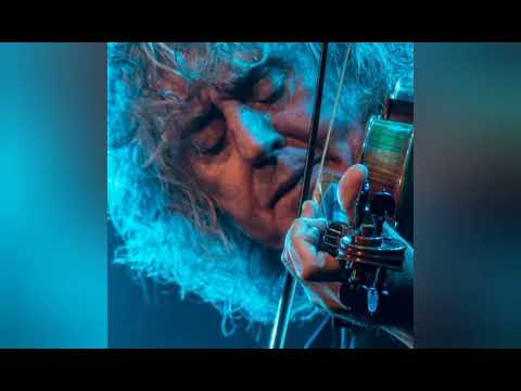 🍃SCARBOROUGH FAIR🌿 (italian version) Angelo Branduardi - voice cover Enrica Merlo #cover #singer