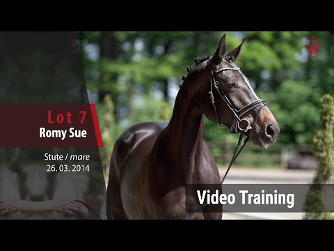 7 Romy Sue v. Rock Forever II - Likoto xx_Trainingsvideo