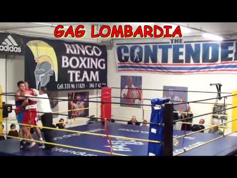 norrito vs zucco k81