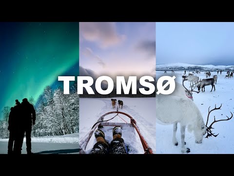 We Finally Reached Winter Wonderland 😍 Our 4-Day Adventure in the Arctic ft. TROMSØ