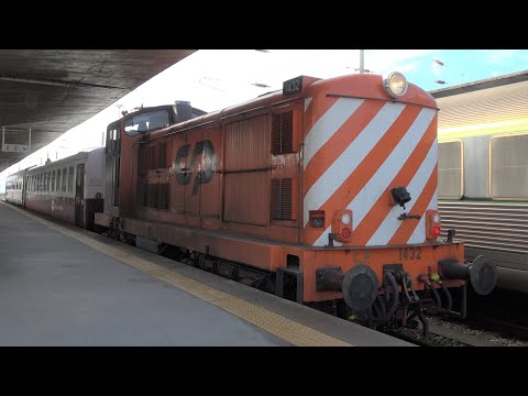 CP activities at Porto & Linha do Douro, November 2022