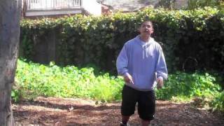 Physics Project - "How To Do It" by Swagnetics