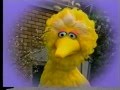 Sesame Street The Tree Who Wanted To Leave The Park