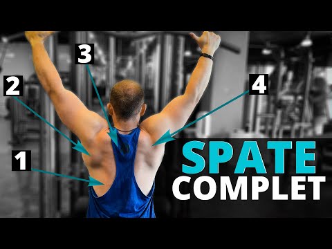 Antrenament Complet pentru Spate la Sala