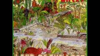 land of the lost - Wipers