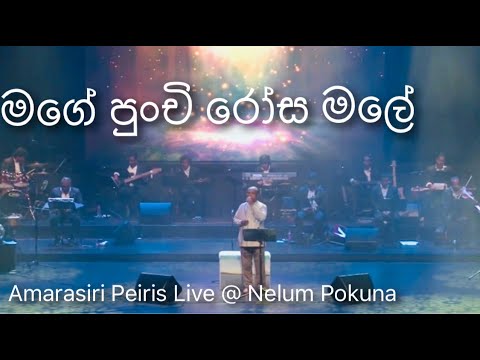 Mage Punchi Rosa Male (මගේ පුංචි රෝස මලේ) - Amarasiri Peiris Live @ Nelum Pokuna