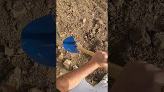 Où est CHOWH1 ? 👀